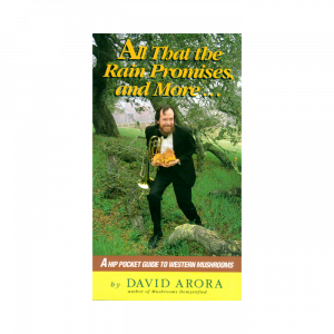 Book – All That The Rain Promises, and more…