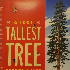 182 Tallest Tree Growth Chart