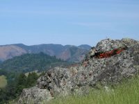 Austin Creek Public Assistance Patrol