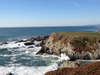 Sonoma Coast Volunteer Program Whale Watch