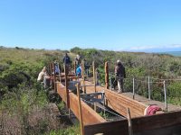 Sonoma Coast Volunteer Program Trail Crew