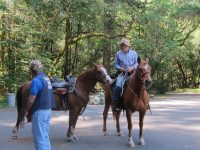 Austin Creek Public Assistance Patrol