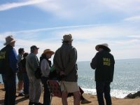 Sonoma Coast Volunteer Program Whale Watch