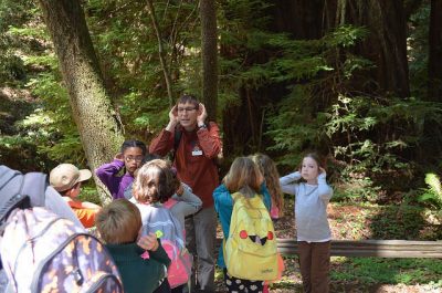 Armstrong Redwood Ecology Field Trip with Docents