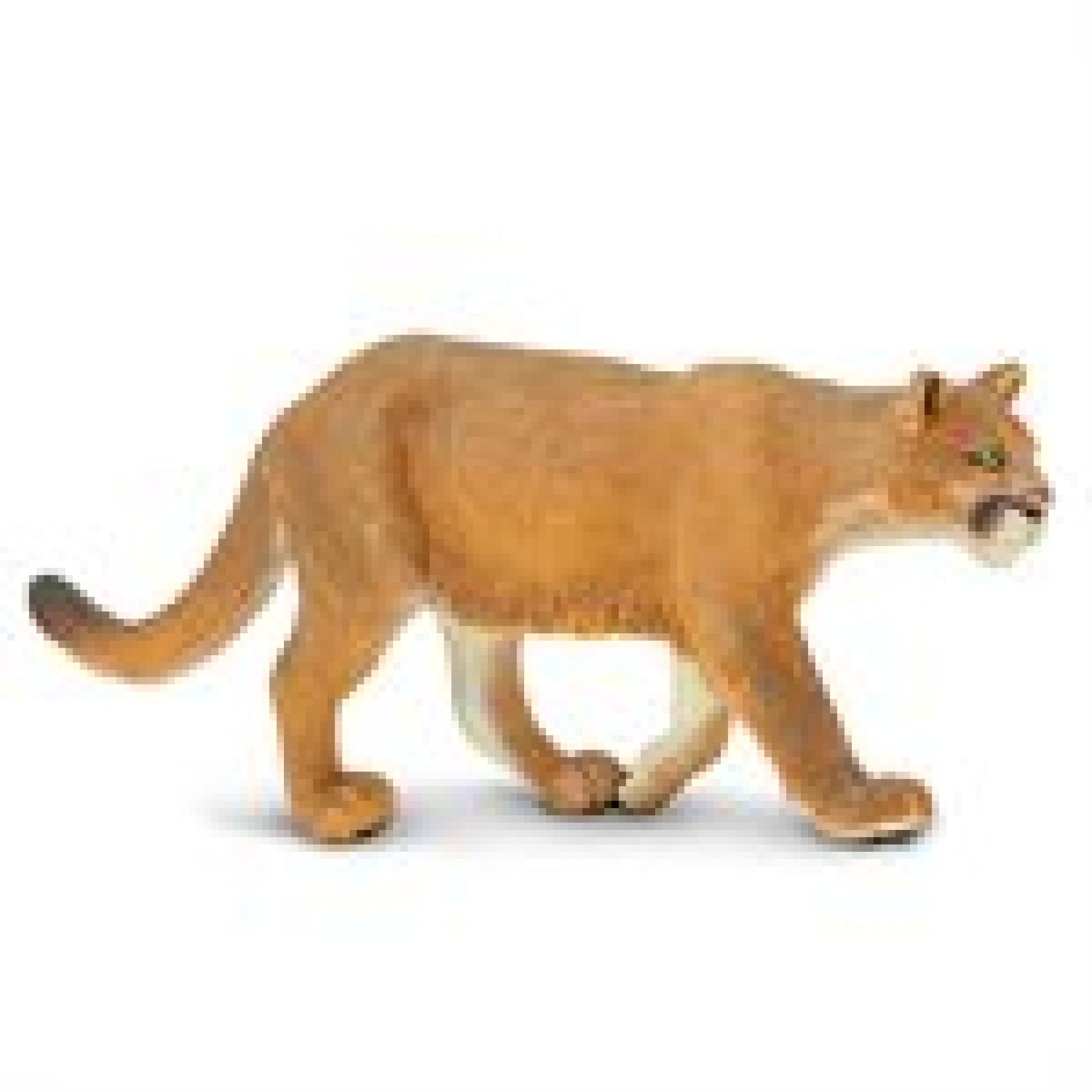 Toy- Safari Ltd. Mountain Lion Figurine | Stewards of the Coast and Redwoods
