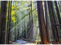 2025 free guided weekend walks