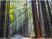 2025 free guided weekend walks