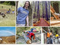 2025 free guided weekend walks