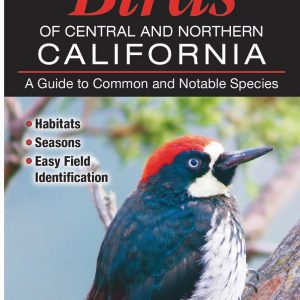 Guide – Birds of Central and Northern California