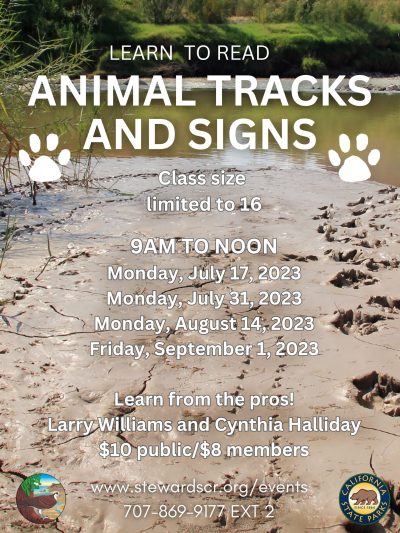 2023 Animal Track and Sign at Pomo Canyon July 31st
