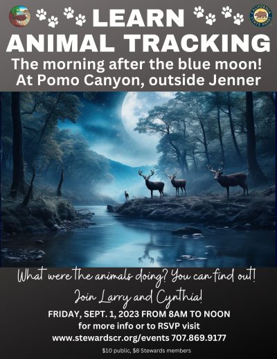 2023 Animal Track and Sign at Pomo Canyon September 1