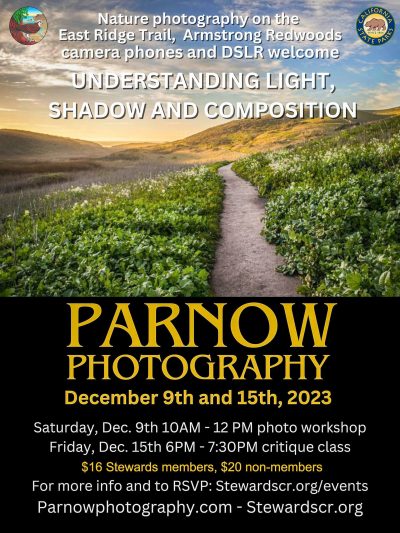 Parnow Photography December 2023