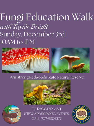 2023 Mushroom Hike in the Redwoods December 3rd