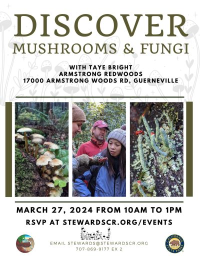 2024 Mushroom Hike in the Redwoods March