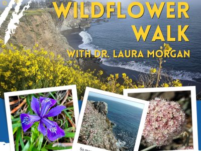 Sonoma Coast Wildflower Walk with Dr. Laura Morgan