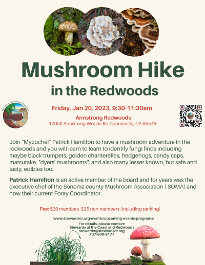2023 Mushroom Hike in the Redwoods
