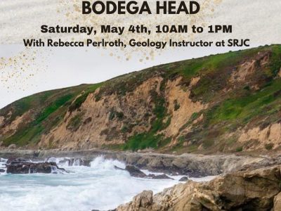 Discover the Geology of Bodega Head