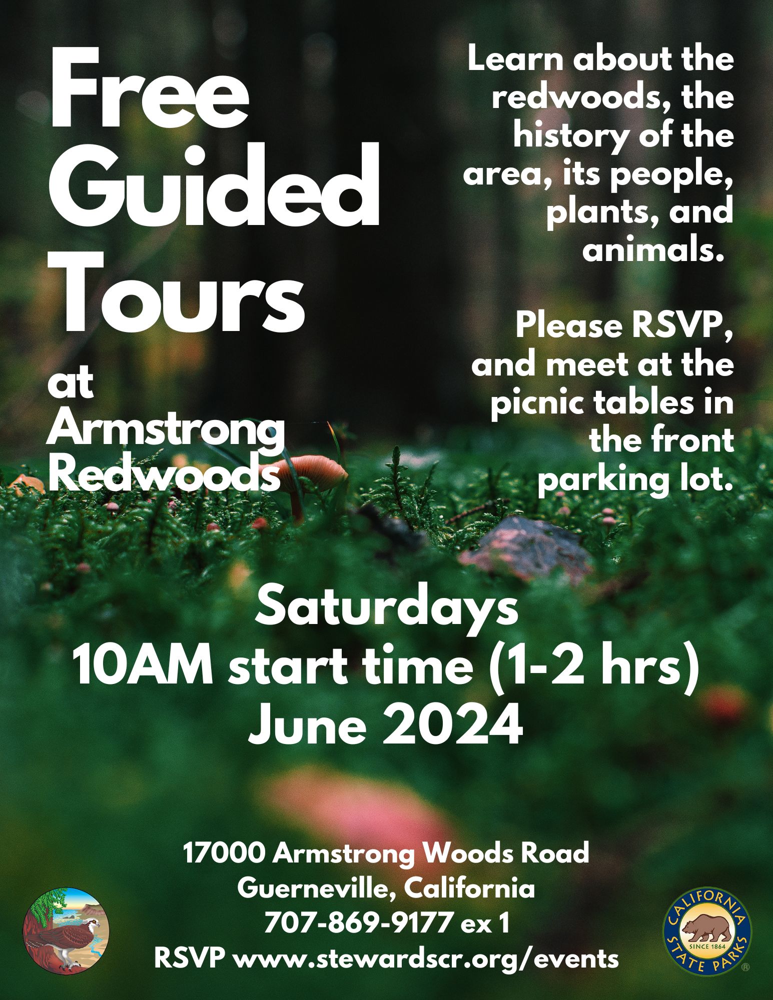 2024 free guided tours march