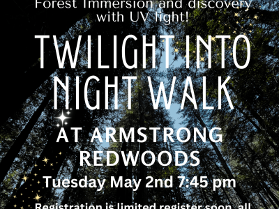 Twilight into Night Walk with UV lights