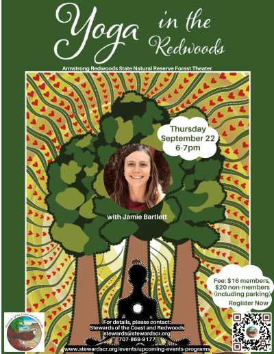 2022 Yoga in the Redwoods-September 22