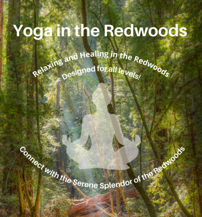 2023 Summer Solstice Yoga in the Redwoods