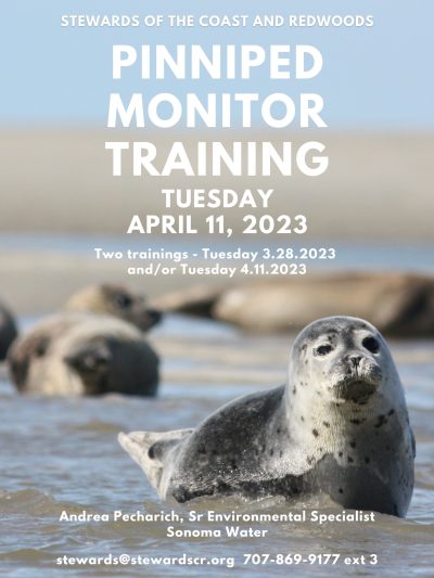 2023 Pinniped Monitoring Volunteer Training Jenner April