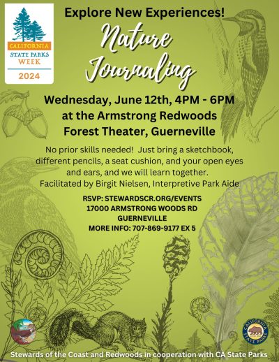 Beginner's Nature Journaling at the Forest Theater