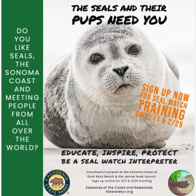 2023 Seal Watch Volunteer Training