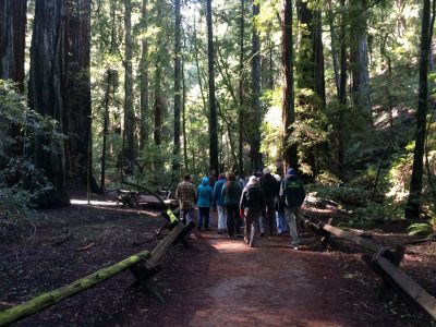 Fall 2019 Hike with Mike Workshop