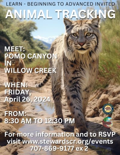 Learn to Read Animal Tracks and Signs in beautiful Pomo Canyon