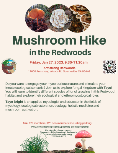 2023 Mushroom Hike in the Redwoods Jan 27