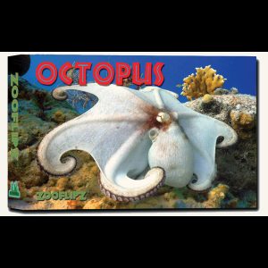 Flipbook – Octopus