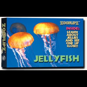 Flipbook – Jellyfish