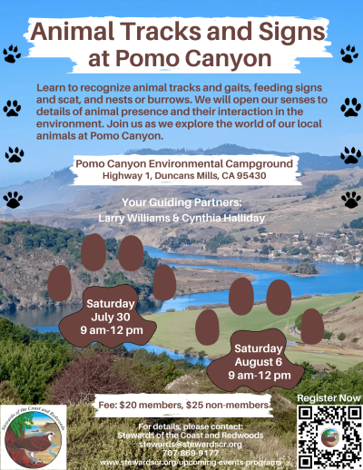 2022 Animal Track and Sign at Pomo Canyon-July 30