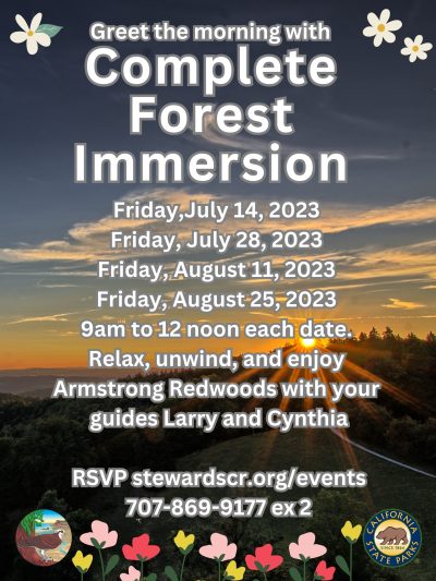 2023 Guided Forest Immersion in the Redwoods july 14