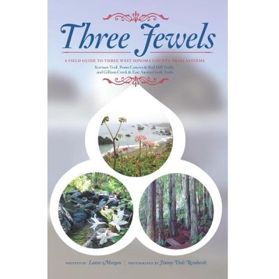 Three Jewels Book Talk & Signing with Laura Morgan