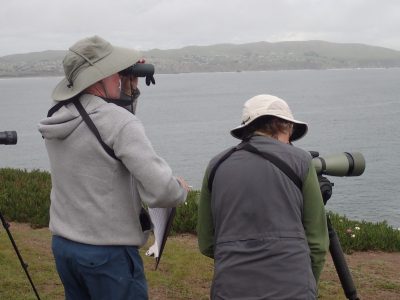 2019 Seabird Monitoring Volunteer Training