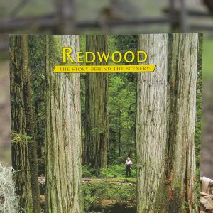Book – Redwood: the Story Behind the Scenery