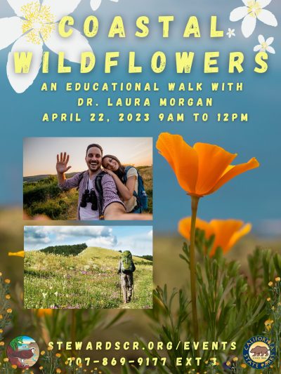 2023 Sonoma Coast Wildflowers