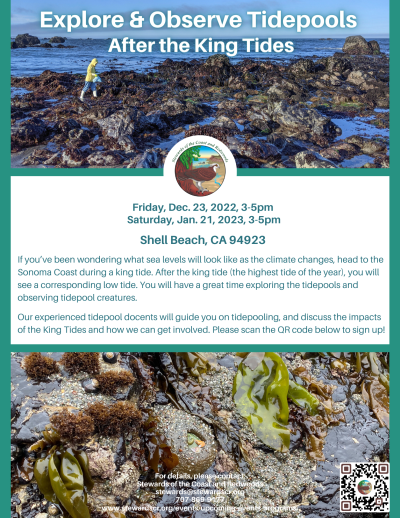 2023 Explore and Observe Tidepools During the King Tides