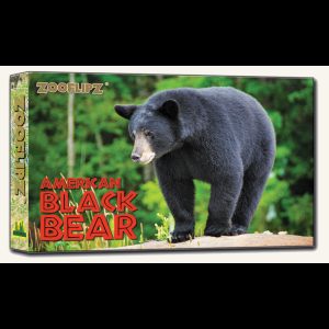 Flipbook – American Black Bear
