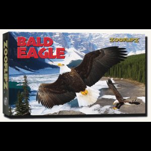 Flipbook – Bald Eagle