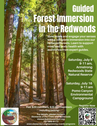 2022 Guided Forest Immersion in the Redwoods-Pomo Canyon