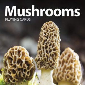 Playing Cards Mushrooms with photos