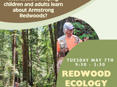 Redwood Ecology Docent Training