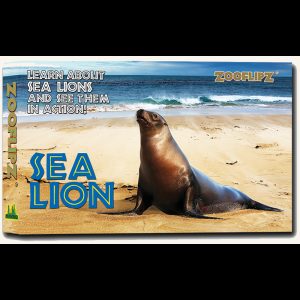 Flipbook – Sea Lion
