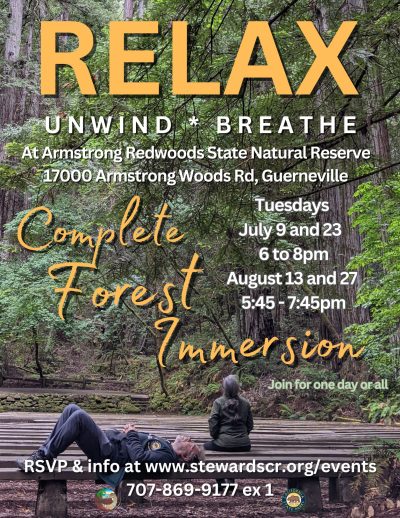 2024 Guided Forest Immersion in the Redwoods July 23