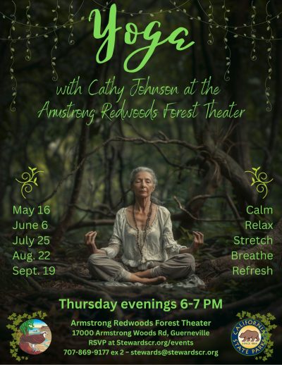 2024 Yoga in the Redwoods August