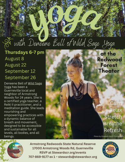 2024 Yoga in the Redwoods September Copy