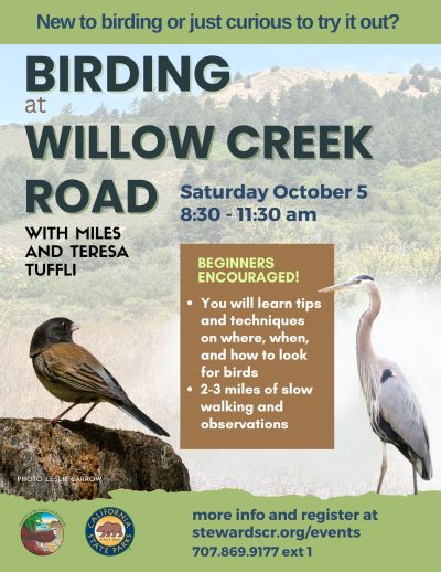 Birding at Willow Creek Road October 2024